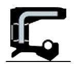 100X125X12 HMSA10 RG SKF CR Metric Oil Seal (0726)